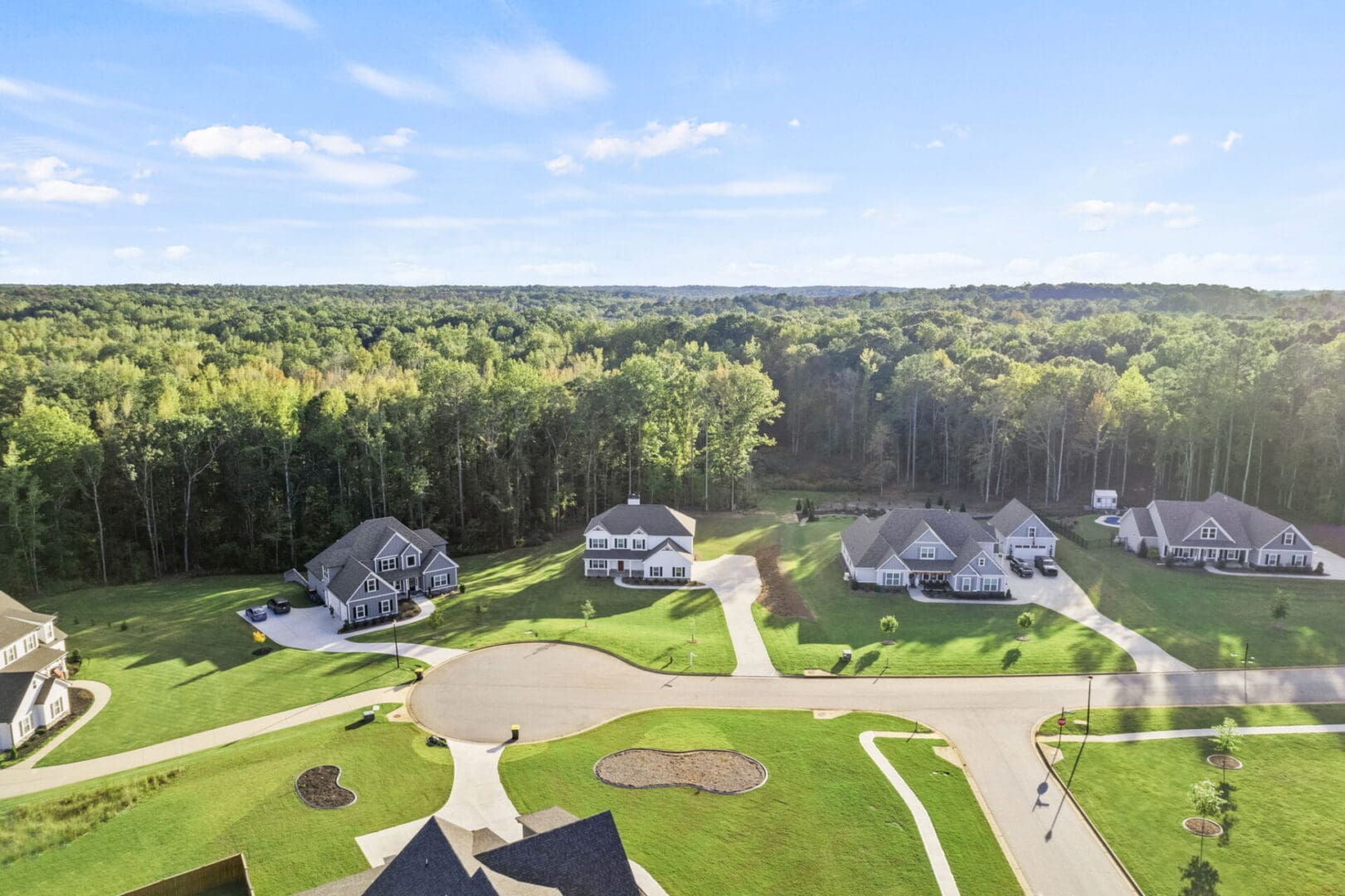 Aerial view of suburban homes.